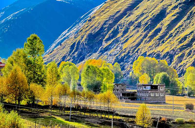 独行成都，一份献给自己的慢旅行图鉴-第1张图片-四川省中国青年旅行社